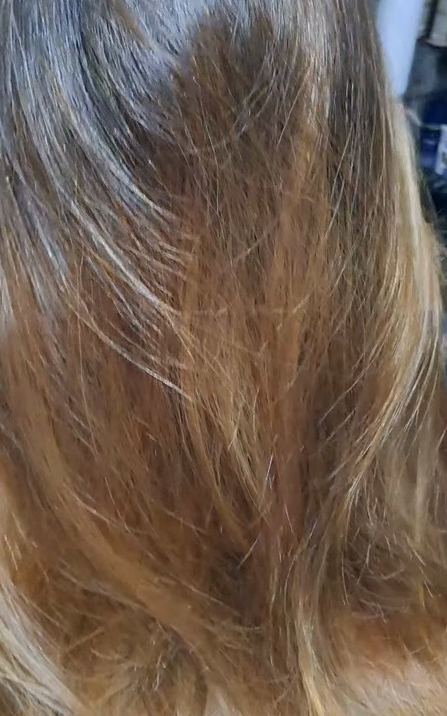 Before: grown-out caramel balayage